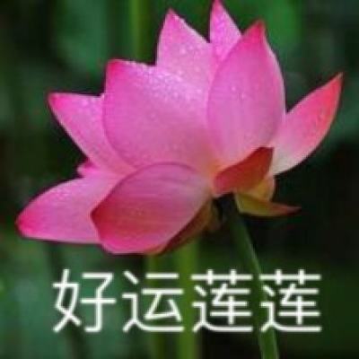通讯｜弘扬“路易·艾黎精神”　赓续中新传统友谊